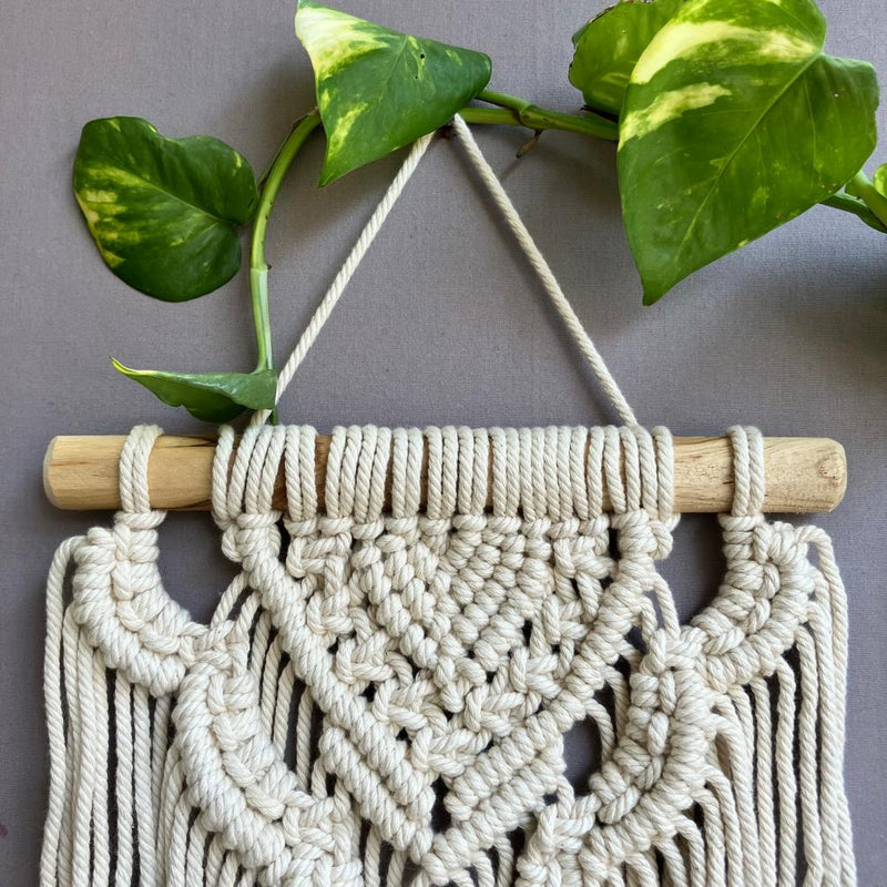 Handcrafted Macramé 'Waterfall' Wallhanging  Small