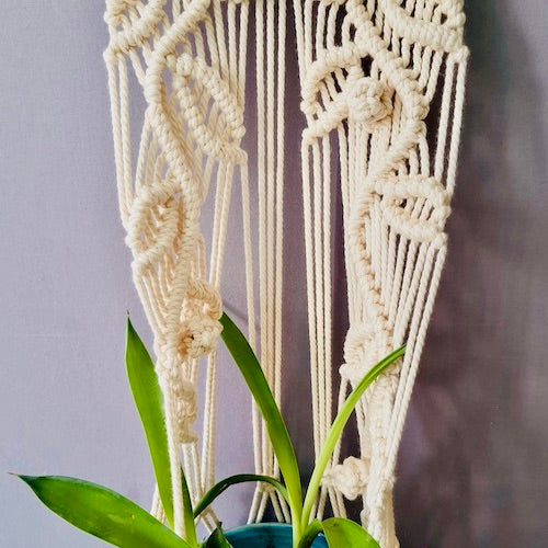 Handcrafted Macramé 'Tehni' Plant Hanger