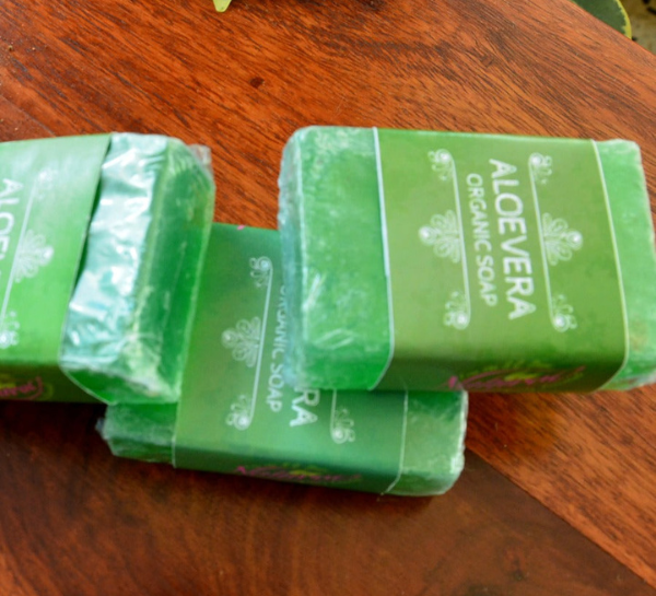 BATH & BODY Handmade Aloe Vera Tea Tree Organic Soap  pack of 3