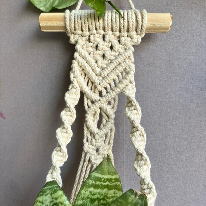 Handcrafted Macramé 'Sapling of love' Plant Hanger