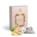 Ginger Herbal Infusion (Pyramid Infusion Bags5)