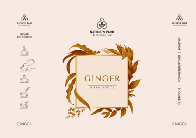 Ginger Herbal Infusion (Pyramid Infusion Bags5)