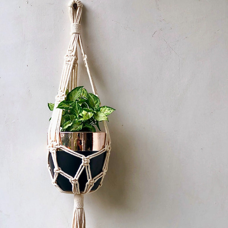 Handcrafted Macrame 'Bali' Plant Hanger