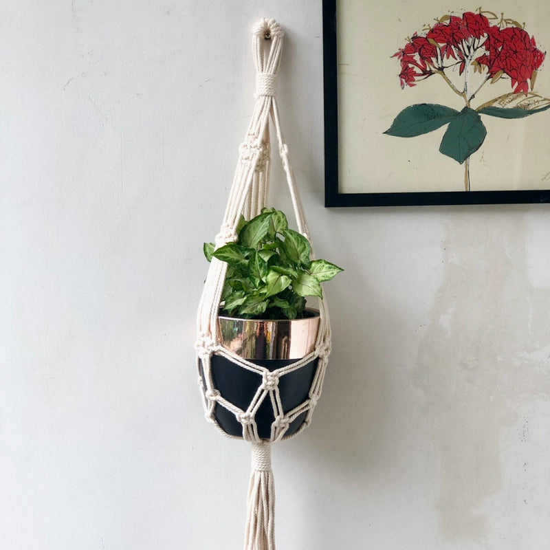 Handcrafted Macrame 'Bali' Plant Hanger