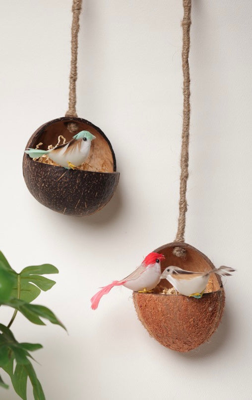 Upcycled discarded coconut shell bird feeder Gudiya bird feeder