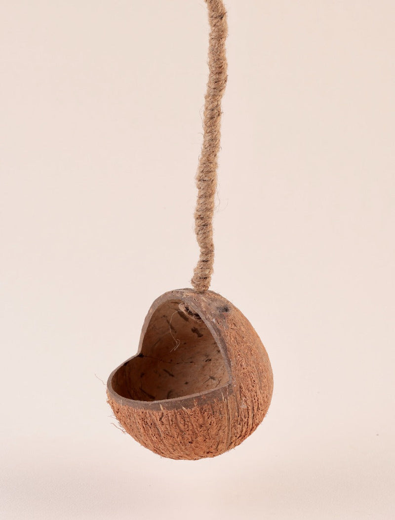 Upcycled discarded coconut shell bird feeder Gudiya bird feeder