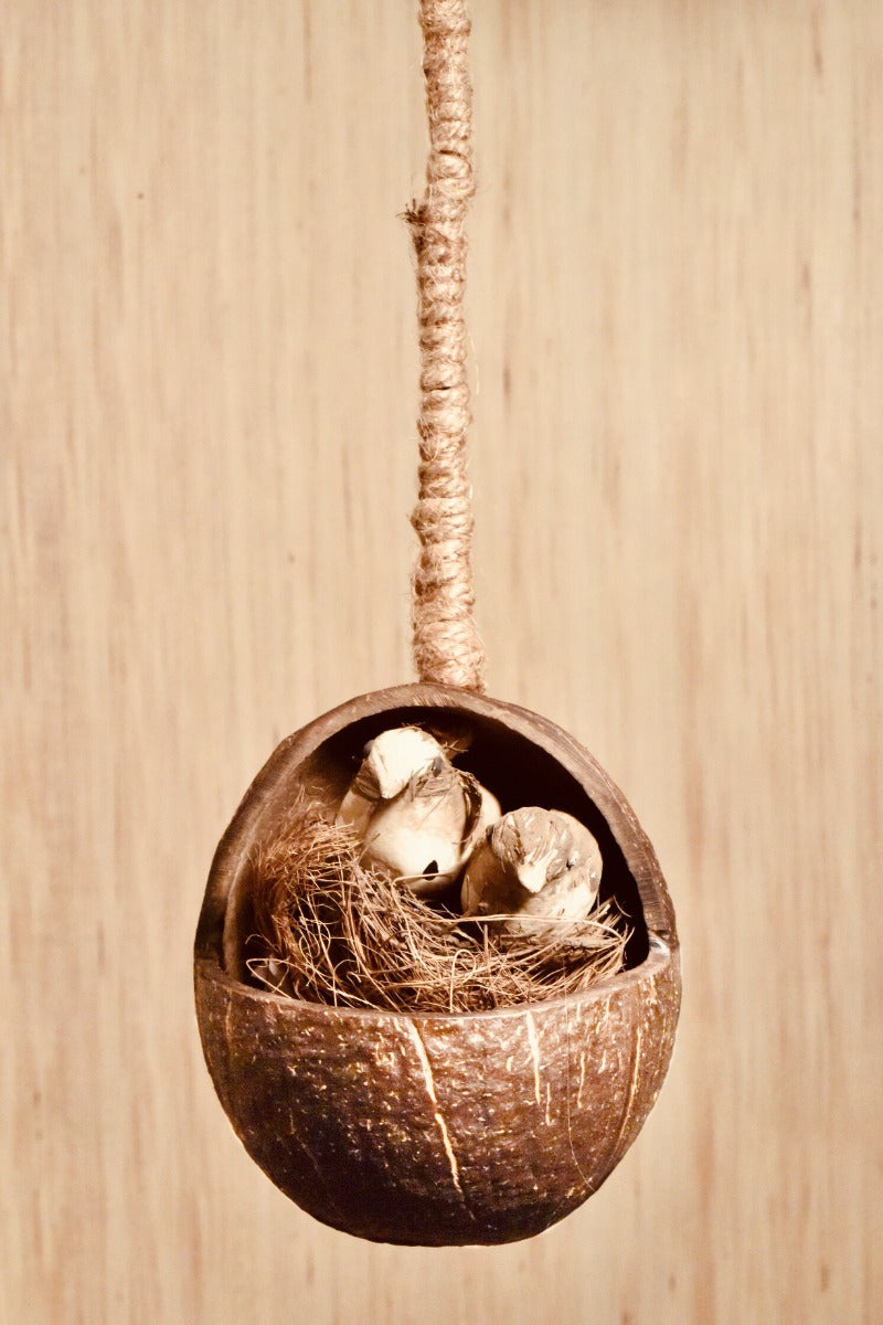 Upcycled discarded coconut shell bird feeder Gudiya bird feeder