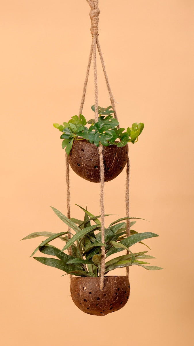 Upcycled discarded coconut shell planter Harita planter