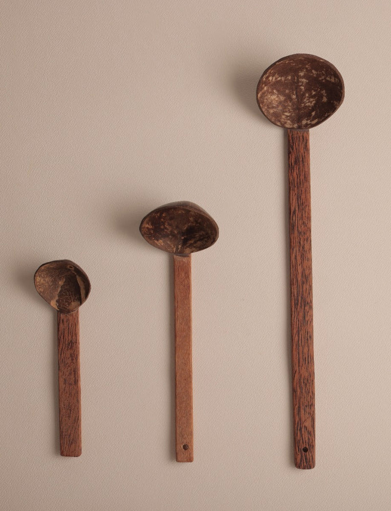 Upcycled coconut shell Natarajan 2.0 serving spoon (set of 3)