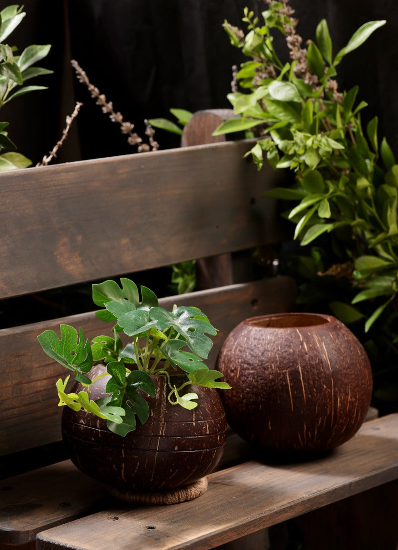 Upcycled coconut shell indoor/outdoor planter PUSHPA planter