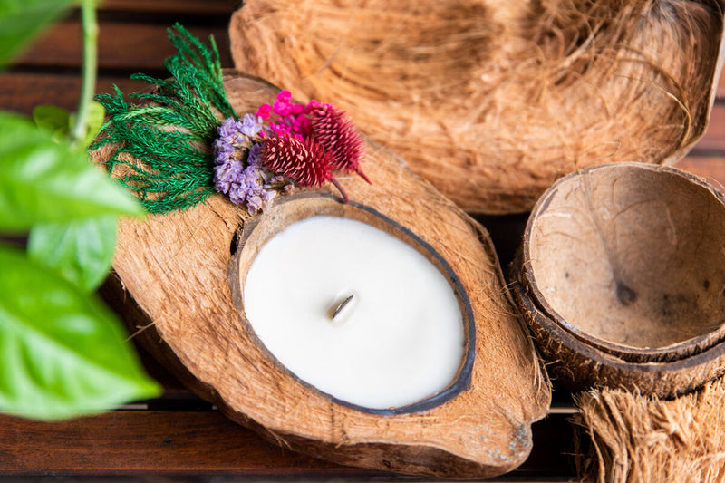 Upcycled coconut shell candle  Shweta candle made of halved coconut