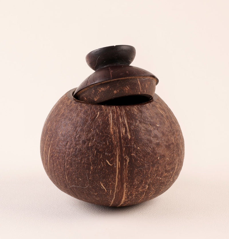 Upcycled coconut shell container Swarna container with lid