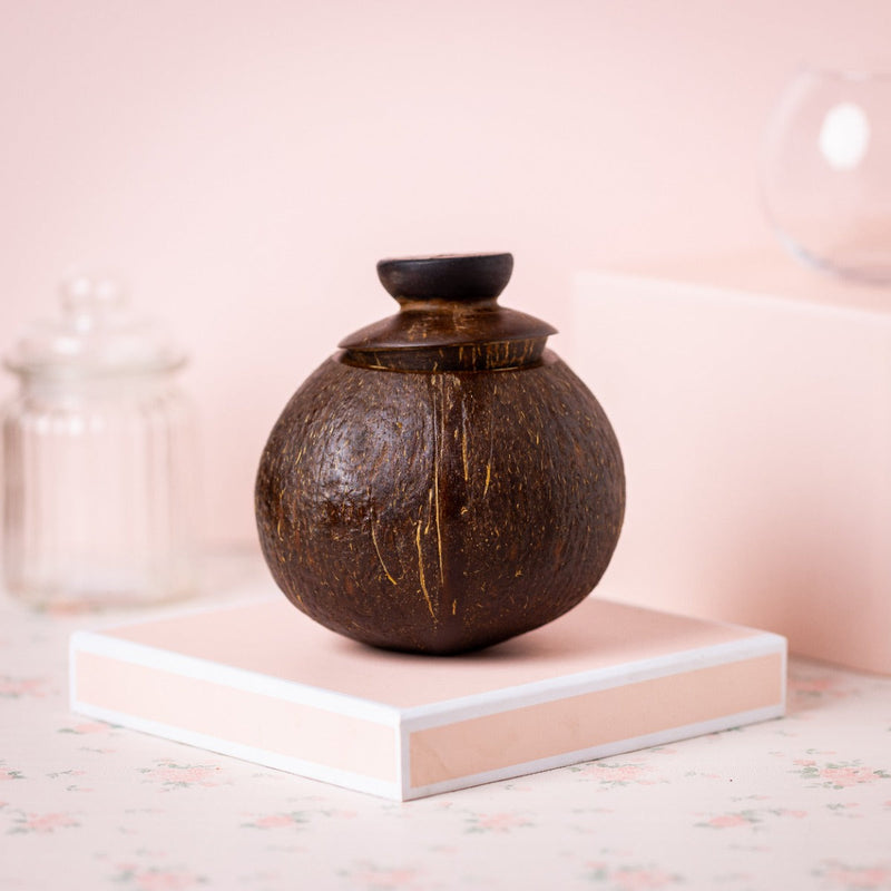 Upcycled coconut shell container Swarna container with lid