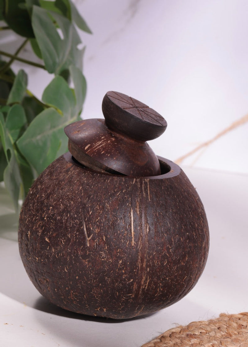 Upcycled coconut shell container Swarna container with lid