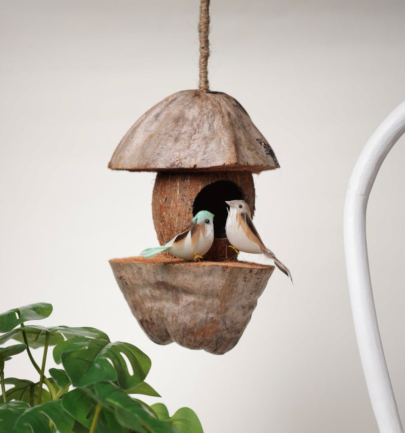 Upcycled whole coconut shell bird feeder Tanya bird feeder