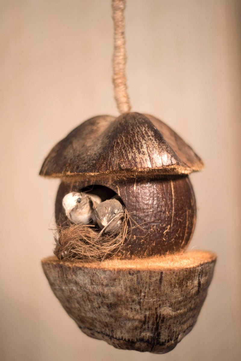 Upcycled whole coconut shell bird feeder Tanya bird feeder