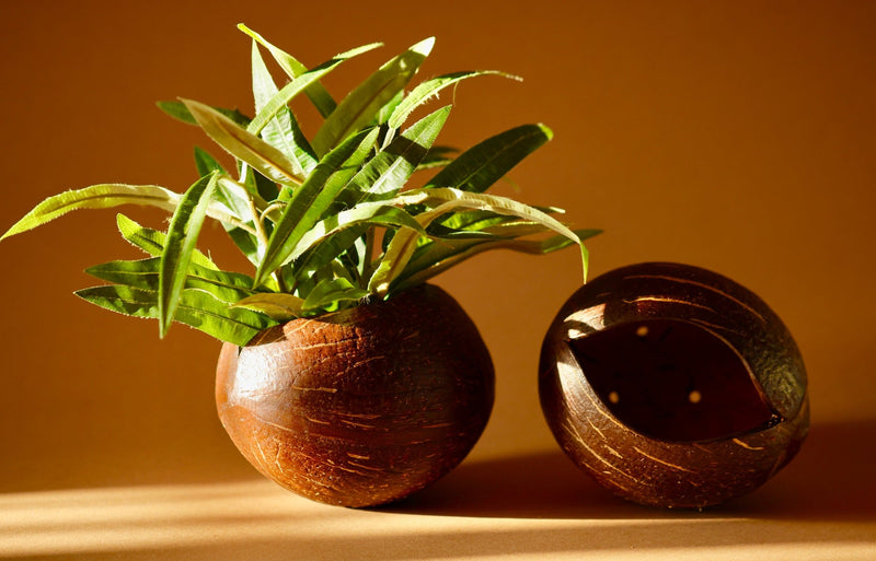 Upcycled coconut shell indoor/outdoor planter HETVI planter