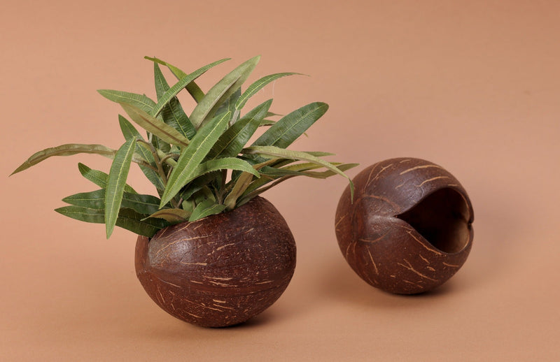 Upcycled coconut shell indoor/outdoor planter HETVI planter