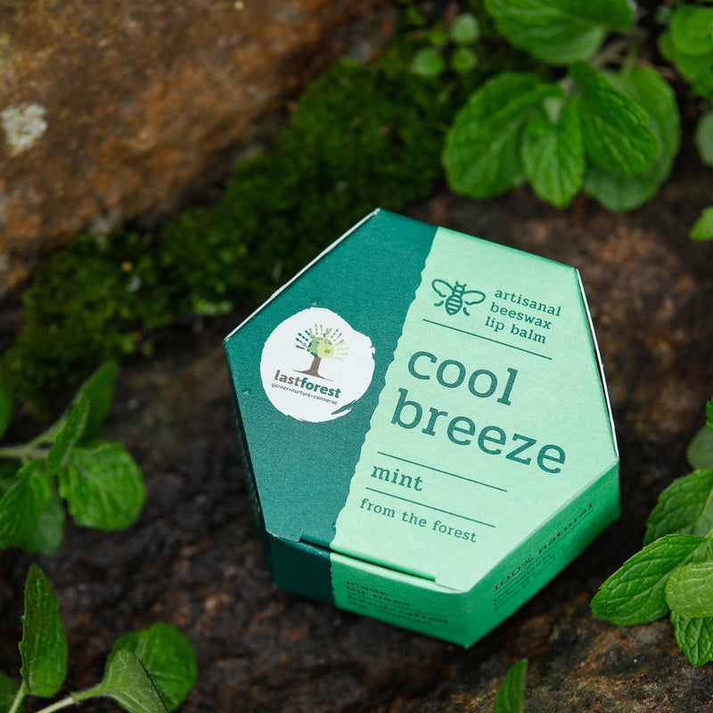 Artisanal, Handmade Beeswax Lip Balm Mint