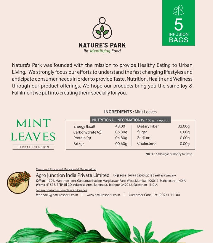 Mint Leaves Herbal Infusion (Pyramid Infusion Bags5)