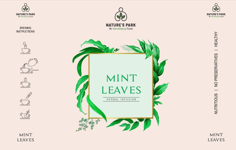 Mint Leaves Herbal Infusion (Pyramid Infusion Bags5)