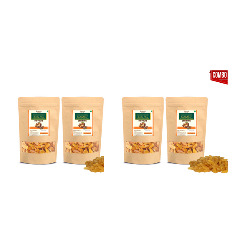 Healthy Fibres Premia Raisin 100 gms  Combo of 4