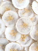 Agate Coasters(Set of 1)